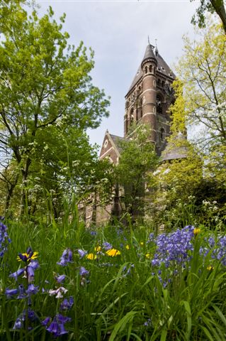 External - Clock Tower from meadow